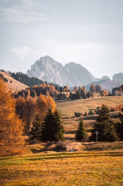 Dolomitler Güney Tyrol İtalya 'sında Alpe di Siusi' de sonbahar manzarası. Yüksek kalite fotoğraf