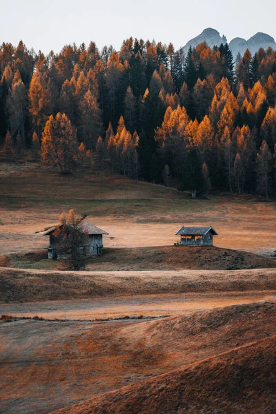 Φθινοπωρινό Τοπίο Στο Alpe Siusi Ανατολή Στο Dolomites South Tyrol — Φωτογραφία Αρχείου