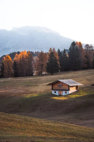 Őszi Táj Alpe Siusi Napfelkelte Dolomitok Dél Tirol Olaszország Kiváló — Stock Fotó