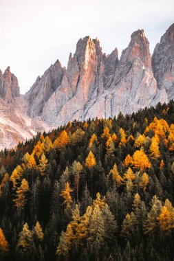 Autumn 'daki dağ manzarası, St. Magdalena Güney Tyrol, Dolomitler İtalya. Yüksek kalite fotoğraf