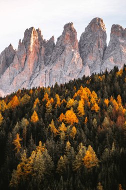 Autumn 'daki dağ manzarası, St. Magdalena Güney Tyrol, Dolomitler İtalya. Yüksek kalite fotoğraf