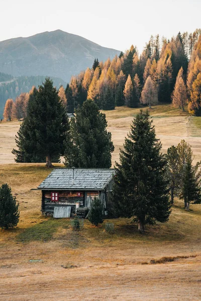 Outono Paisagem Alpe Siusi Nascer Sol Nas Dolomitas Sul Tirol — Fotografia de Stock