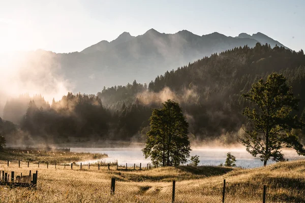Foggy Sunrise Geroldsee Also Wagenbruchsee Bavaria Germany Europe High Quality — Stock Photo, Image