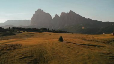 Sonbahar Gündoğumu 'nda Dolomites South Tyrol Italya' daki Alpe di Siusi Seiser Alm 'de insansız hava aracı görüntüleri. Yüksek kalite 4k görüntü