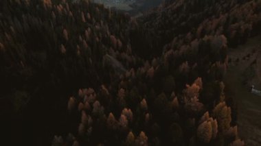 Sonbahar Gündoğumu 'nda Dolomites South Tyrol Italya' daki Alpe di Siusi Seiser Alm 'de insansız hava aracı görüntüleri. Yüksek kalite 4k görüntü