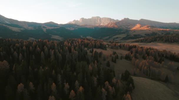 Drone Beelden Bij Alpe Siusi Seiser Alm Dolomieten Zuid Tirol — Stockvideo
