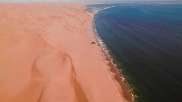 Воздушный Дрон Пустыня Встречается Океаном Сэндвич Харбор Намибия Африка Высококачественные — стоковое видео