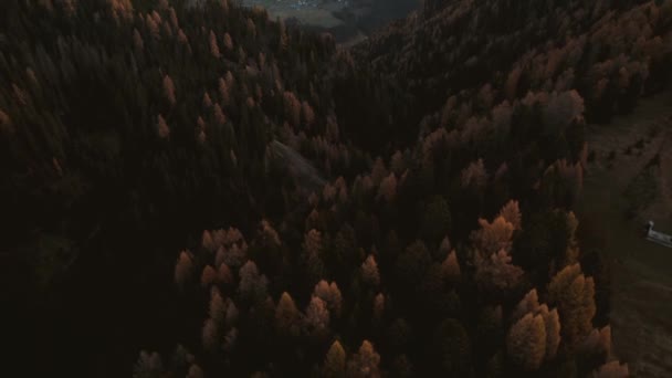 Drone Záběry Alpe Siusi Seiser Alm Dolomitách Jižní Tyrolsko Itálie — Stock video