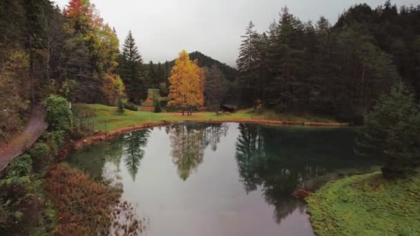 秋天的时候 奥地利费尔斯泰因湖的穆迪空中录像 高质量的照片 — 图库视频影像