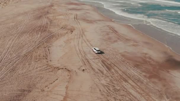 Viaggio Fuoristrada Sulla Spiaggia Della Namibia Con Zeila Shipwreck Skeleton — Video Stock