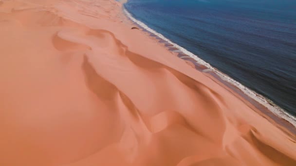 Drone Aereo Dove Deserto Incontra Oceano Sandwich Harbour Namibia Africa — Video Stock