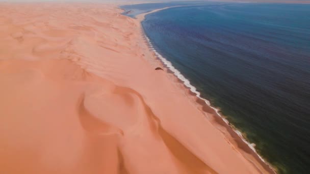 Aerial Drone Desert Meets Ocean Sandwich Harbour Namibia Africa High — Stock Video