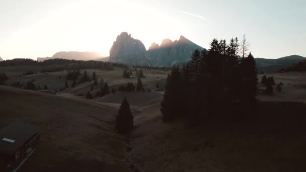 Κηφήνας Πλάνα Στο Alpe Siusi Seiser Alm Στο Dolomites South — Αρχείο Βίντεο