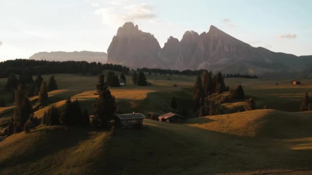 Drone Alpe Siusi Seiser Alm Dans Les Dolomites Tyrol Sud — Video