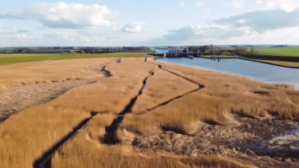 Hollanda Daki Kiekkaaste Kuş Gözlemevi Nin Wadden Denizi Ndeki Insansız — Stok video