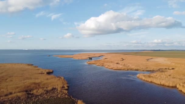 바다에있는 네덜란드의 웨덴카스트 천문대의 항공기 고품질 Fullhd — 비디오