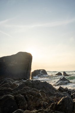 Unawatuna, Mirissa, Sri Lanka, plaj, palmiye ağaçları ve okyanusta tropik gündoğumu. Yüksek kalite fotoğraf