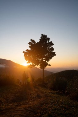 Ella, Sri Lanka 'da baş döndürücü bir gündoğumu sırasında küçük Adams Tepesi manzarası. Yüksek kalite fotoğraf