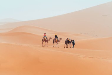 Turistlerle birlikte Merzouga, Fas 'taki Sahara çölünde deve yürüyüşü. Yüksek kalite fotoğraf