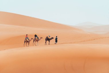 Turistlerle birlikte Merzouga, Fas 'taki Sahara çölünde deve yürüyüşü. Yüksek kalite fotoğraf