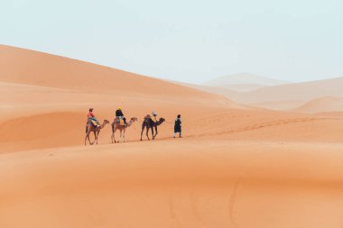 Turistlerle birlikte Merzouga, Fas 'taki Sahara çölünde deve yürüyüşü. Yüksek kalite fotoğraf