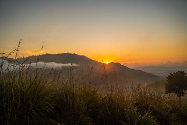 Ella, Sri Lanka 'da baş döndürücü bir gündoğumu sırasında küçük Adams Tepesi manzarası. Yüksek kalite fotoğraf