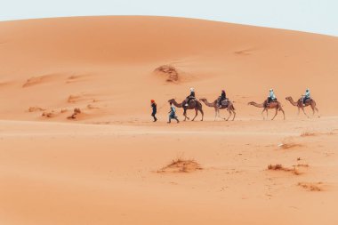 Turistlerle birlikte Merzouga, Fas 'taki Sahara çölünde deve yürüyüşü. Yüksek kalite fotoğraf