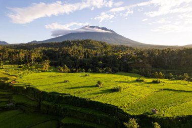 Yeşil pirinç tarlaları ve Endonezya Bali 'deki Agung Dağı' nın hava gündoğumu manzarası. Yüksek kalite fotoğraf