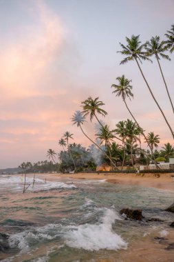 Unawatuna, Sri Lanka, plaj, palmiye ağaçları ve okyanusta balıkçılarla gün doğumu. Yüksek kalite fotoğraf