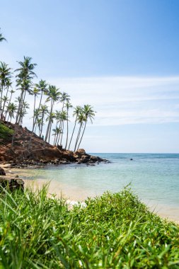 Hint Okyanusu 'nun yanındaki Sri Lanka Sahili, Mirissa' daki ünlü Coconut Tree Hill. Yüksek kalite fotoğraf