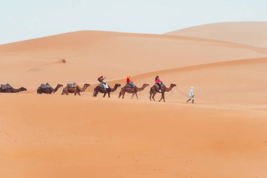 Turistlerle birlikte Merzouga, Fas 'taki Sahara çölünde deve yürüyüşü. Yüksek kalite fotoğraf