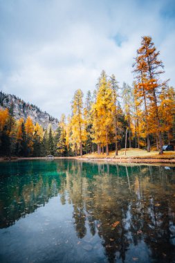 Sonbahar ağaçları ve Lago Ghedina gölü manzarası, Dolomitler Güney Tyrol İtalya. Yüksek kalite fotoğraf