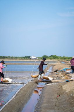 Phetchaburi, Tayland ve Asya 'daki tuz düzlüklerinde çalışan yerliler. Yüksek kalite fotoğraf