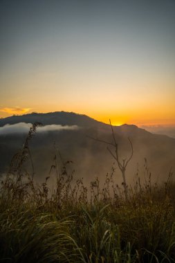 Ella, Sri Lanka 'da baş döndürücü bir gündoğumu sırasında küçük Adams Tepesi manzarası. Yüksek kalite fotoğraf