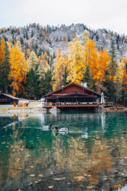 Sonbahar ağaçları ve Lago Ghedina gölü manzarası, Dolomitler Güney Tyrol İtalya. Yüksek kalite fotoğraf