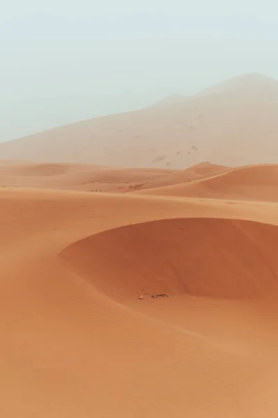 Sahara Desert Textures Día Nublado Merzouga Marruecos Foto Alta Calidad — Foto de Stock