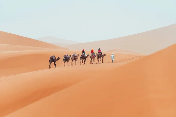 Поход Верблюдах Туристами Через Пустыню Сахара Мугуге Штат Морено Высокое — стоковое фото