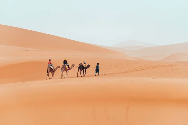 Teve Túra Turistákkal Szaharai Sivatagban Merzougában Marokkóban Kiváló Minőségű Fénykép — Stock Fotó