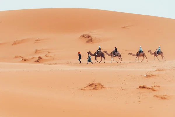 Camel Οδοιπορικό Τουρίστες Μέσα Από Την Έρημο Σαχάρα Merzouga Μαρόκο — Φωτογραφία Αρχείου