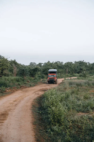 dirt road during safari game drive in Udawalawa National Park . High quality photo