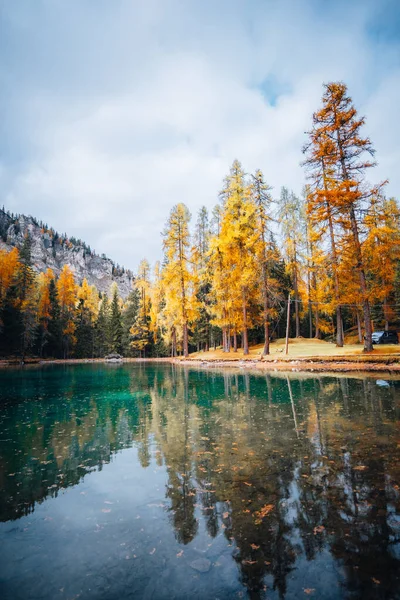 Sonbahar ağaçları ve Lago Ghedina gölü manzarası, Dolomitler Güney Tyrol İtalya. Yüksek kalite fotoğraf