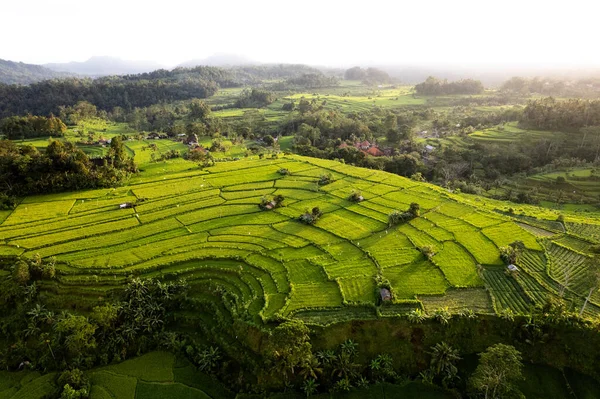 インドネシアのバリのシドメンに近い緑の田園の空中日の出景 高品質の写真 — ストック写真