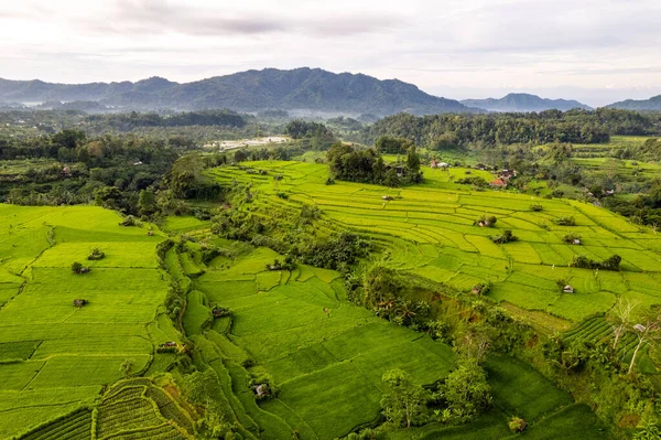Вид Воздушного Восхода Солнца Зеленые Рисовые Поля Рядом Сайдеменом Бали — стоковое фото