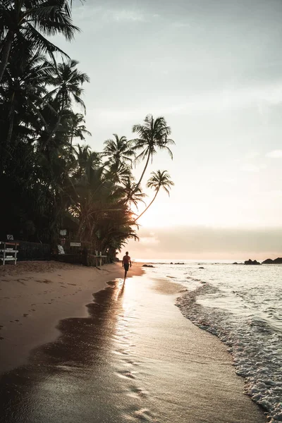 Sunrise with palm trees and silhouette of a person on Sri Lanka beach. High quality photo