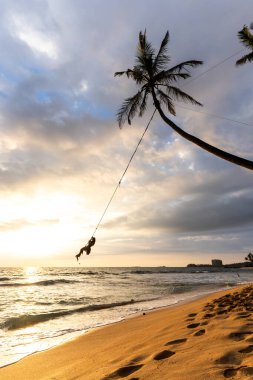 Dalawella Sahili 'nde, Unawatuna' da, Sri Lanka 'da palmiye ağacı sallanıyor. Yüksek kalite fotoğraf