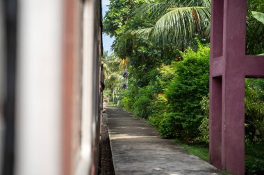 Ella, Kandy ve diğer yerler arasında Sri Lanka 'ya ünlü bir tren yolculuğu. Yüksek kalite fotoğraf