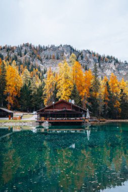 Sonbahar ağaçları ve Lago Ghedina gölü manzarası, Dolomitler Güney Tyrol İtalya. Yüksek kalite fotoğraf