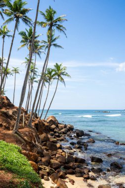 Hint Okyanusu 'nun yanındaki Sri Lanka Sahili, Mirissa' daki ünlü Coconut Tree Hill. Yüksek kalite fotoğraf