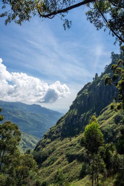 Küçük Adams Tepesi Ella, Sri Lanka 'da güneşli bir günde. Yüksek kalite fotoğraf