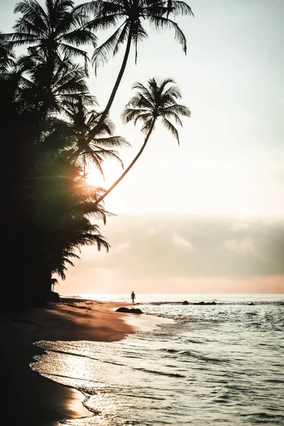 Sunrise with palm trees and silhouette of a person on Sri Lanka beach. High quality photo